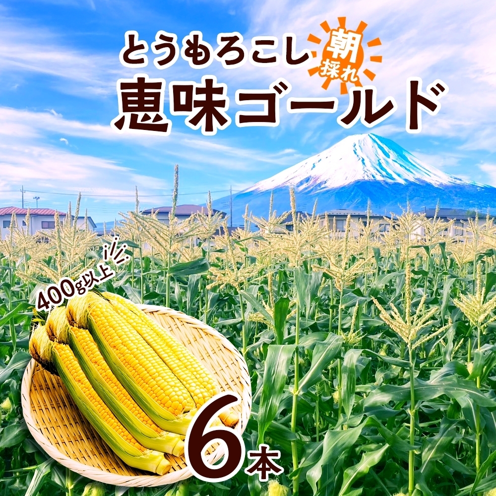 2026年発送先行予約＞とうもろこし 恵味 ゴールド 400g以上 × 6本 高
