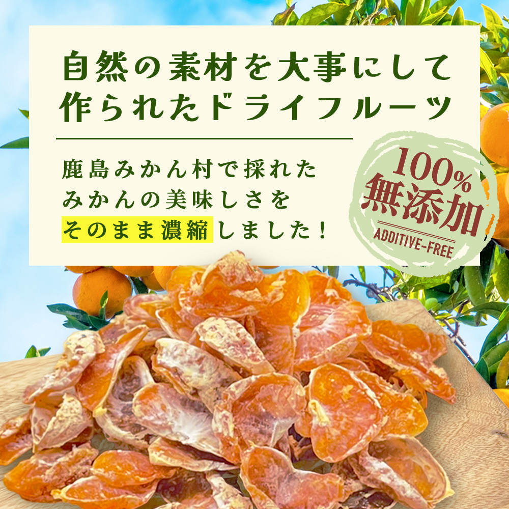 とくべつ【特設サイト特別寄附額】 みかんを使ったドライフルーツ
