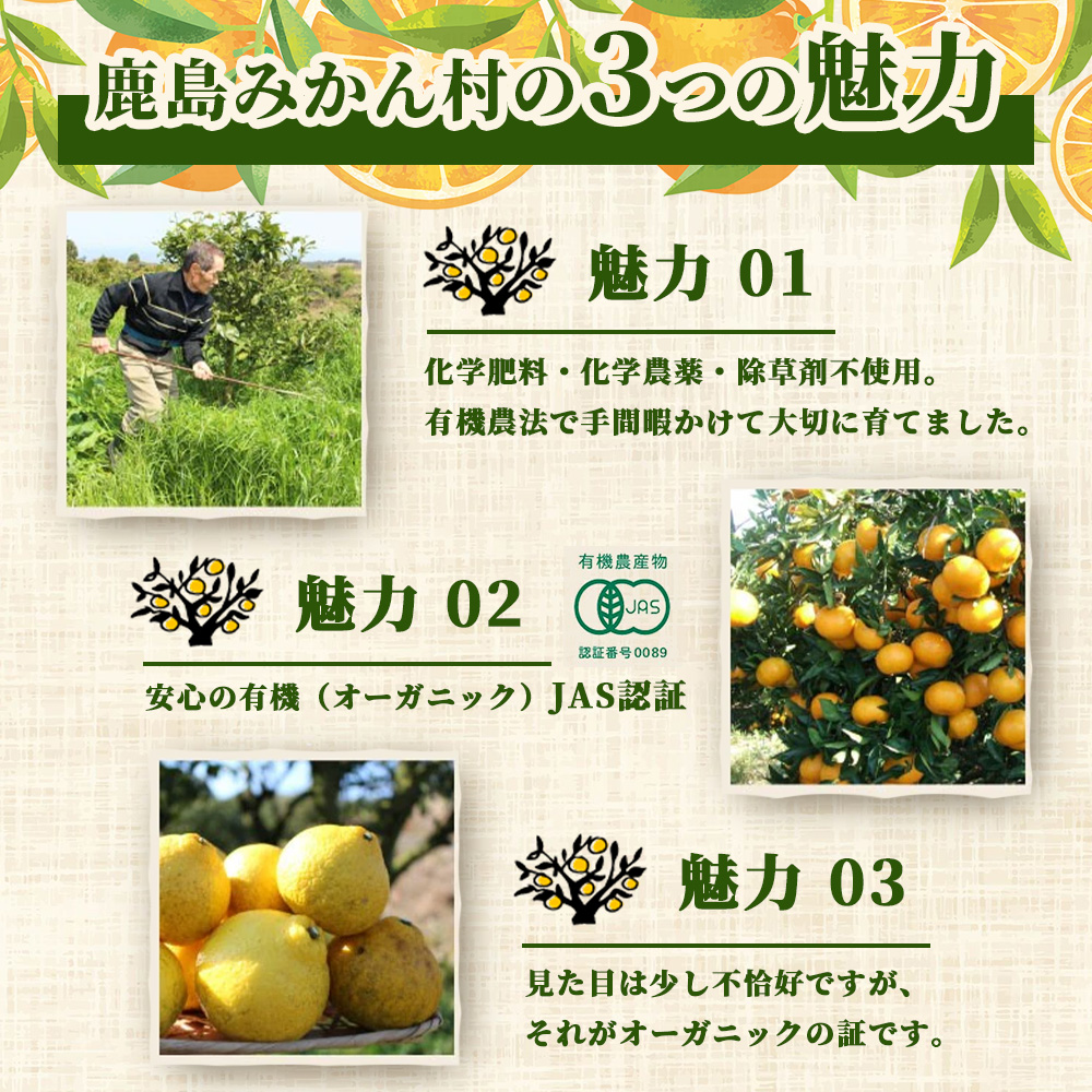 とくべつ【特設サイト特別寄附額】 みかんを使ったドライフルーツ