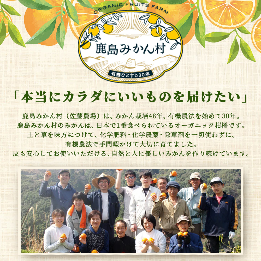 とくべつ【特設サイト特別寄附額】 みかんを使ったドライフルーツ