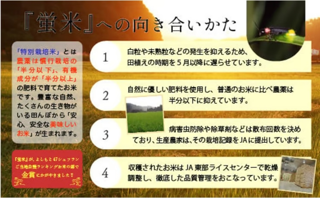 加賀国 小松生れ 蛍米 こしひかり 5kg×2袋 特別栽培米コシヒカリ】 蛍米 精米 10kg (5kg×2) 令和7年産 石川県