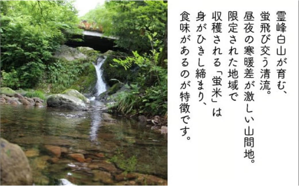 特別栽培米コシヒカリ】 蛍米 精米 10kg (5kg×2) 令和7年産 石川県