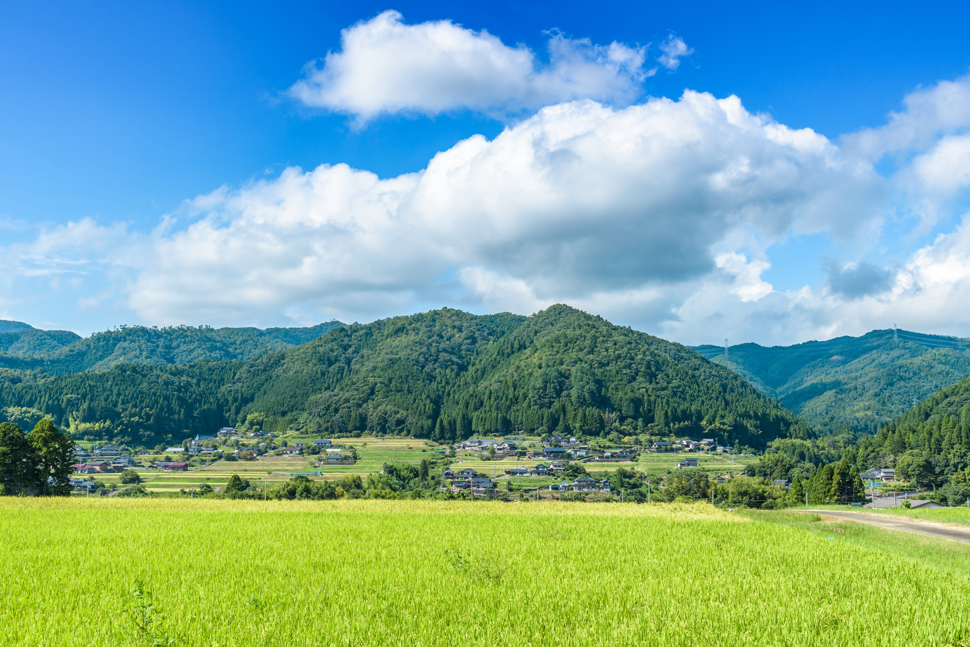 京 丹波 町