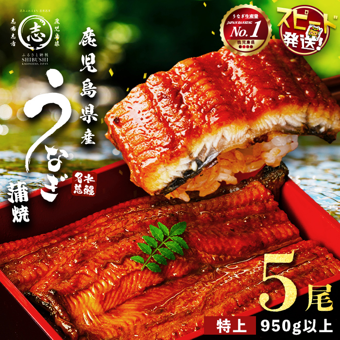 7年連続 ランキング 1位】【5尾700g 20,000円！】鹿児島県産 霧島湧水