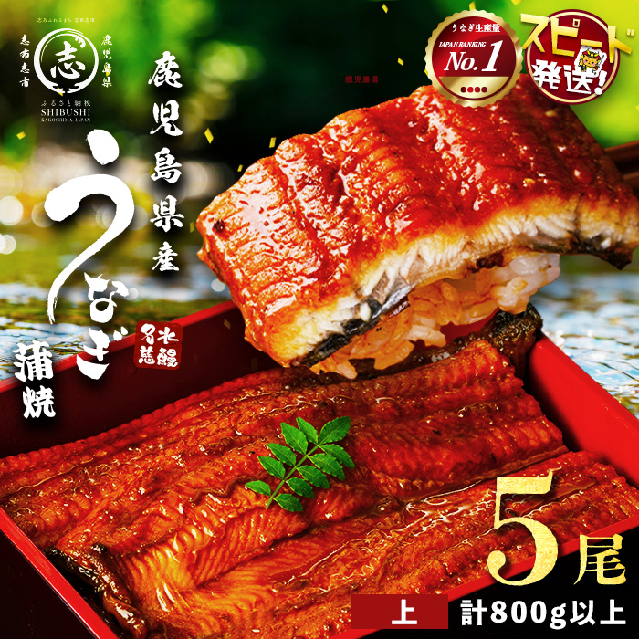 7年連続 ランキング 1位】【5尾700g 20,000円！】鹿児島県産 霧島湧水